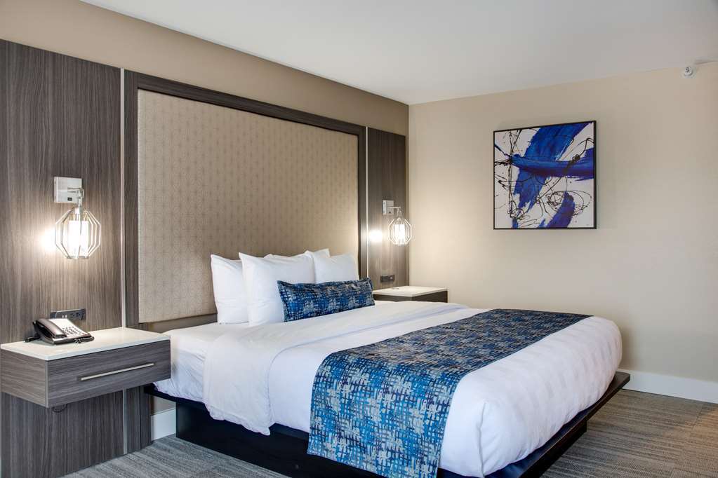 Best Western Plus Greenville I-385 Inn & Suites Phòng bức ảnh