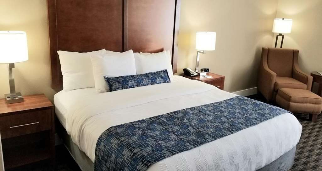Best Western Plus Greenville I-385 Inn & Suites Phòng bức ảnh